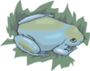 Frog In Grass Clip Art